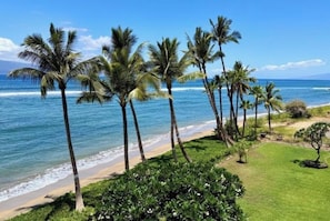 On the beach, sun loungers, beach towels