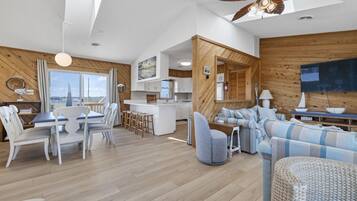 TV connectée, cheminée, livres, vidéothèque