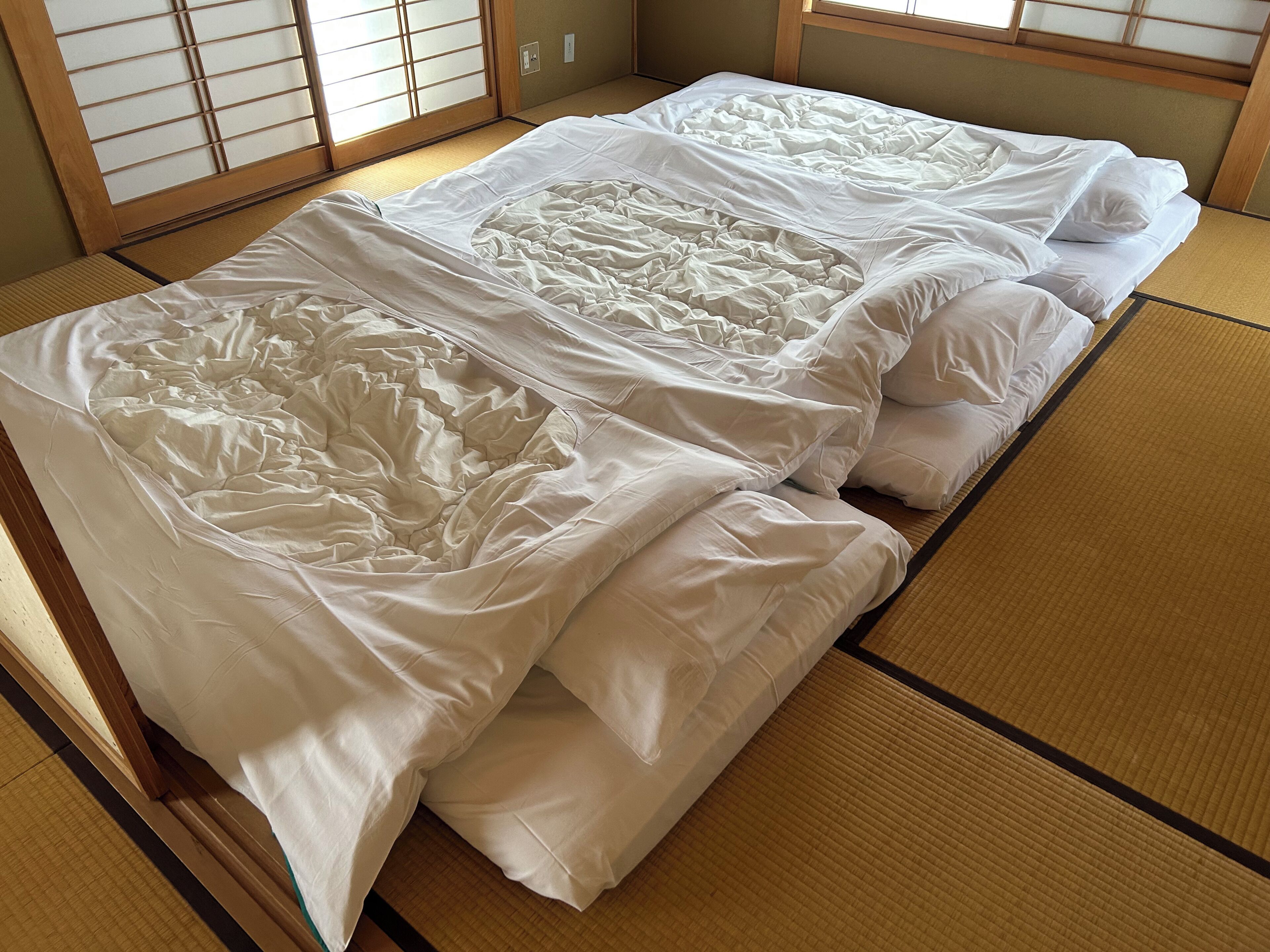 A traditional Japanese tatami mat room with a futon bed.