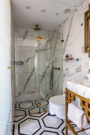 A bathroom with a glass-enclosed shower, a white toilet, and a vanity with a gold frame. - Nissim (Jerusalem)
