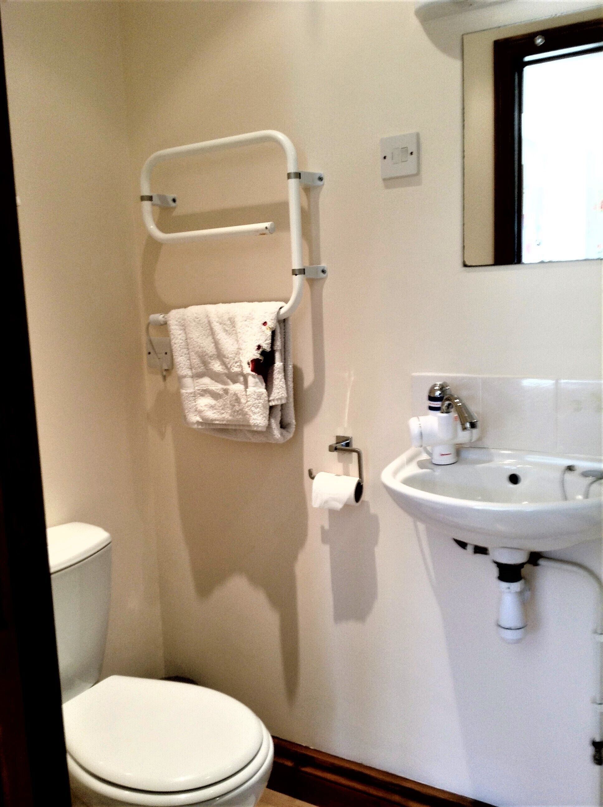 A bathroom with a toilet, a sink, and a towel rack.