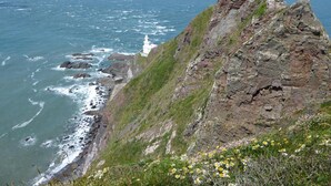 Un paysage côtier caractérisé par une falaise rocheuse imposante et un phare.