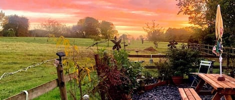 Cottage | Property grounds