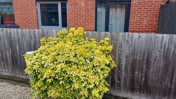 Lägenhet | Exteriör