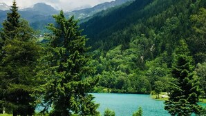 A serene lake surrounded by dense forest and mountains. - Holidays on the lake (Valtournenche)