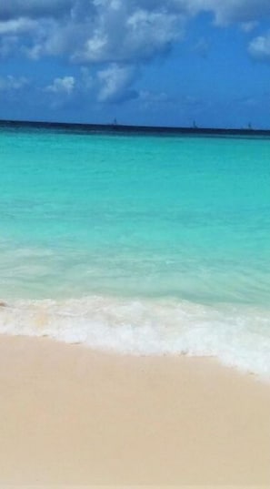 Plage à proximité, chaises longues, serviettes de plage