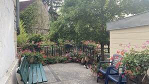 Une cour avec un banc, un chien et un petit jardin agrémenté de fleurs roses.