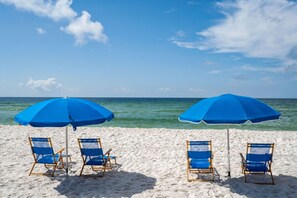 On the beach - Shoalwater 905 (Orange Beach)
