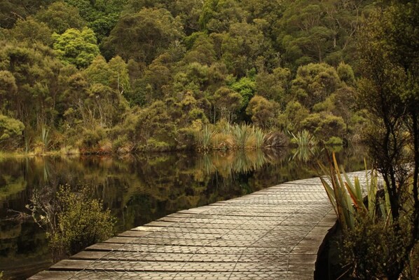 A wooden bridge leading over a calm lake surrounded by dense forest.