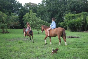 Two people riding horses in a grassy field with trees in the background. - Surrounded By Trees In Front Of The Sea (Cóbano)