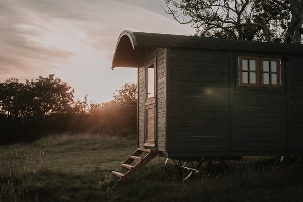 A wooden cabin with a porch and a window, set in a grassy field with trees in the background. - Stunning Shepherd's Hut Retreat, North Devon (Bideford)