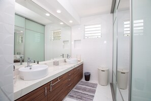 Combined shower/tub, hair dryer, bidet, towels
