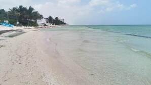 Ein Strand mit klarem Wasser, Palmen und einigen Gebäuden im Hintergrund.