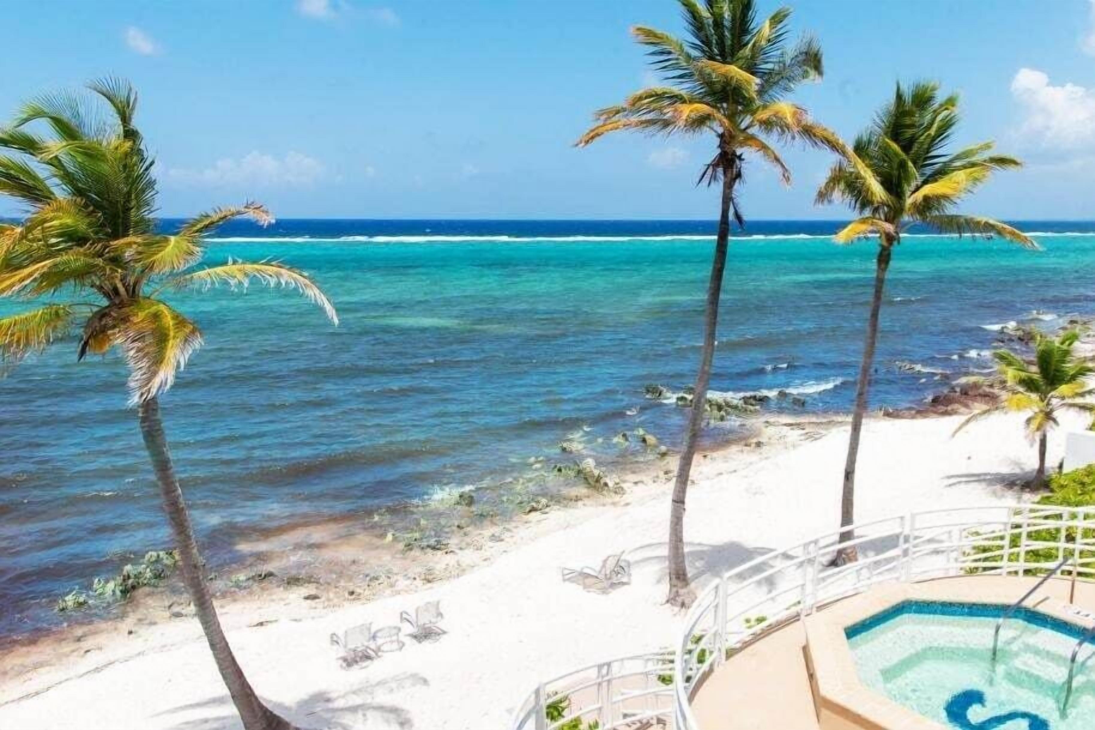 Blick auf einen Strand mit Palmen, einem Pool und einem klaren, blauen Ozean.