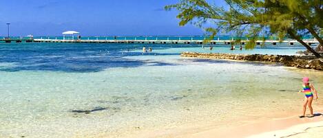 Paddleboard rentals at Rum Point Beach