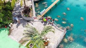 Un espace piscine doté d’une terrasse en bois, de palmiers et d’une eau d’un bleu cristallin.