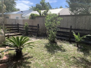 Backyard oasis with a small palm tree and lush greenery, surrounded by a fence and a building in the background.