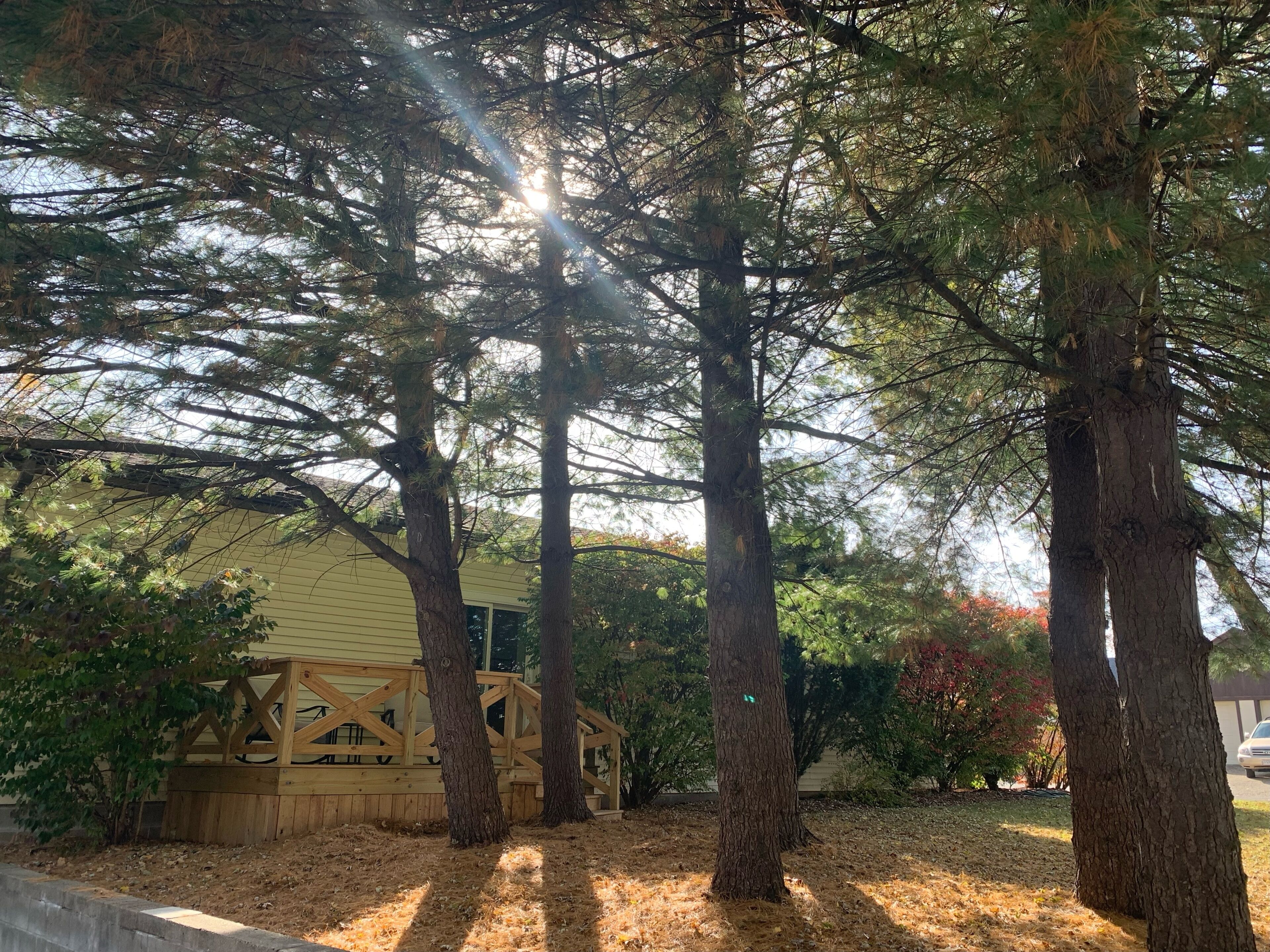 Enceinte de l’hébergement