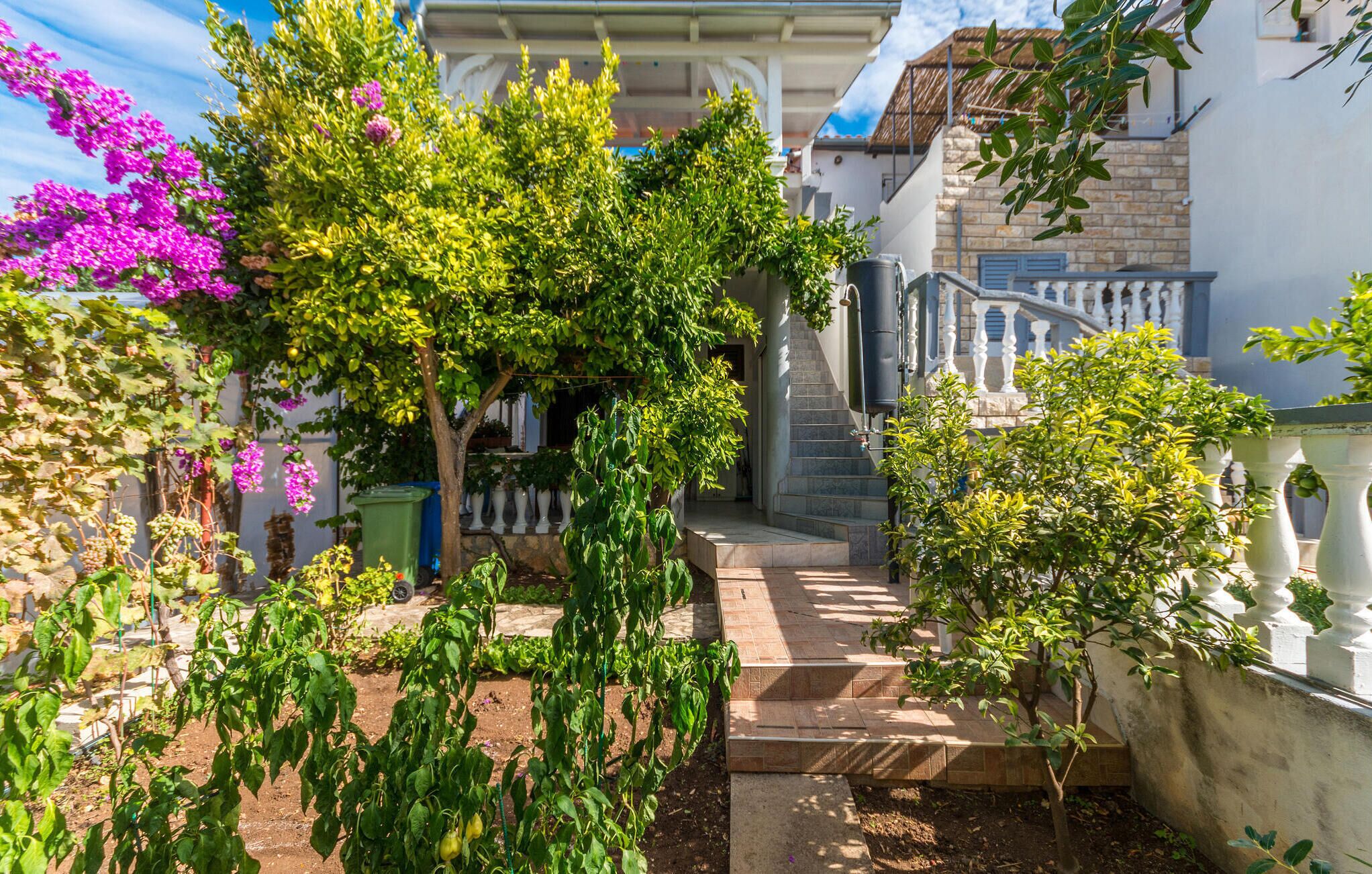 Enceinte de l’hébergement