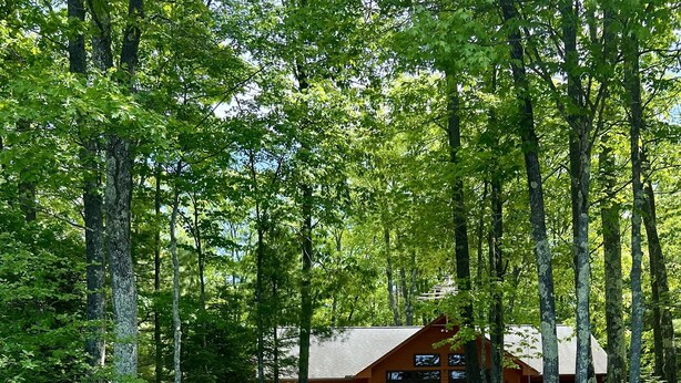 A cabin surrounded by tall trees, a wooden dock, and two colorful beach chairs. - Sandy beach, quiet lake, great fishing & beautiful sunsets w/2 kayaks & gameroom (Cable)