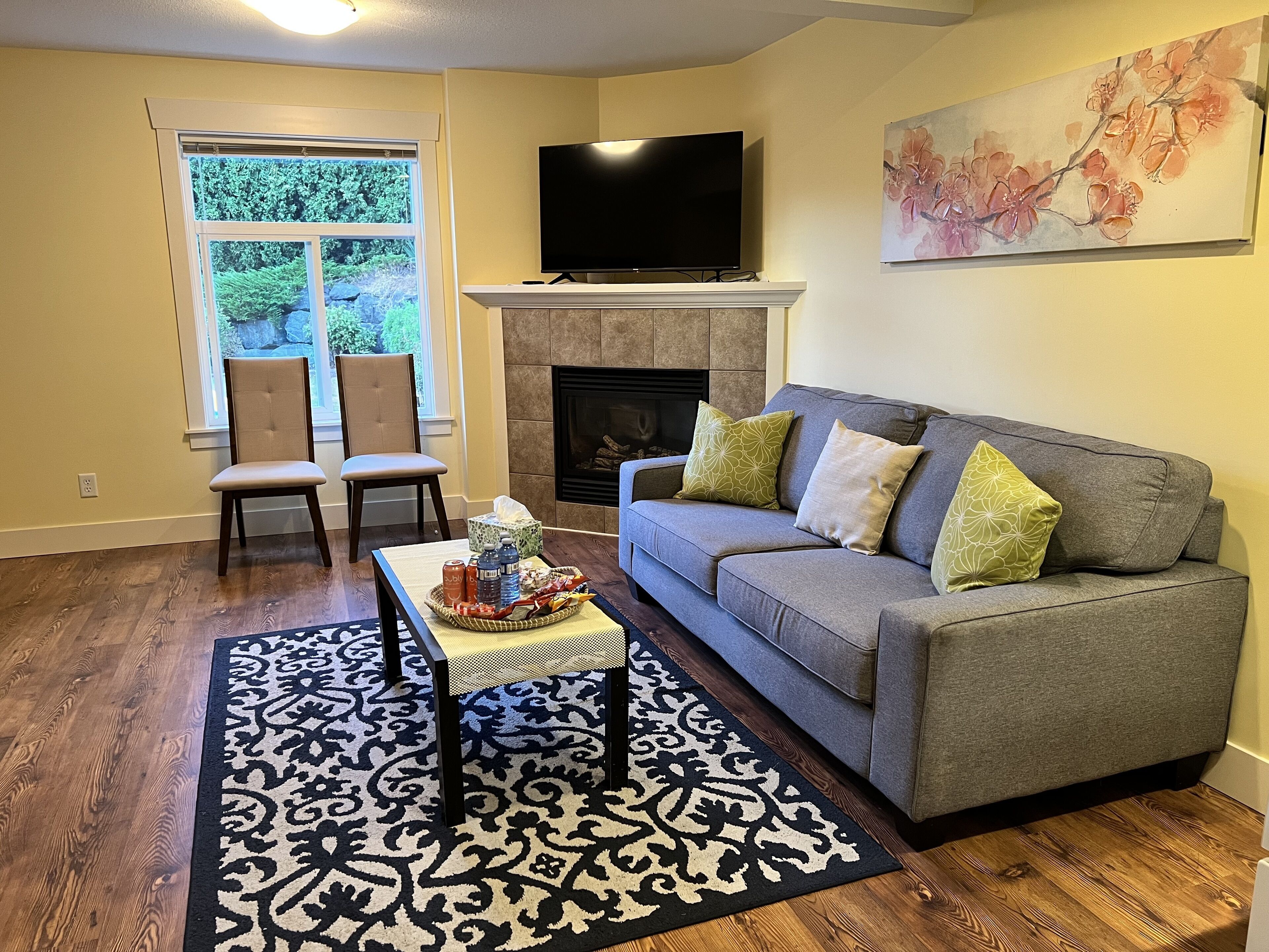 TV connectée, cheminée