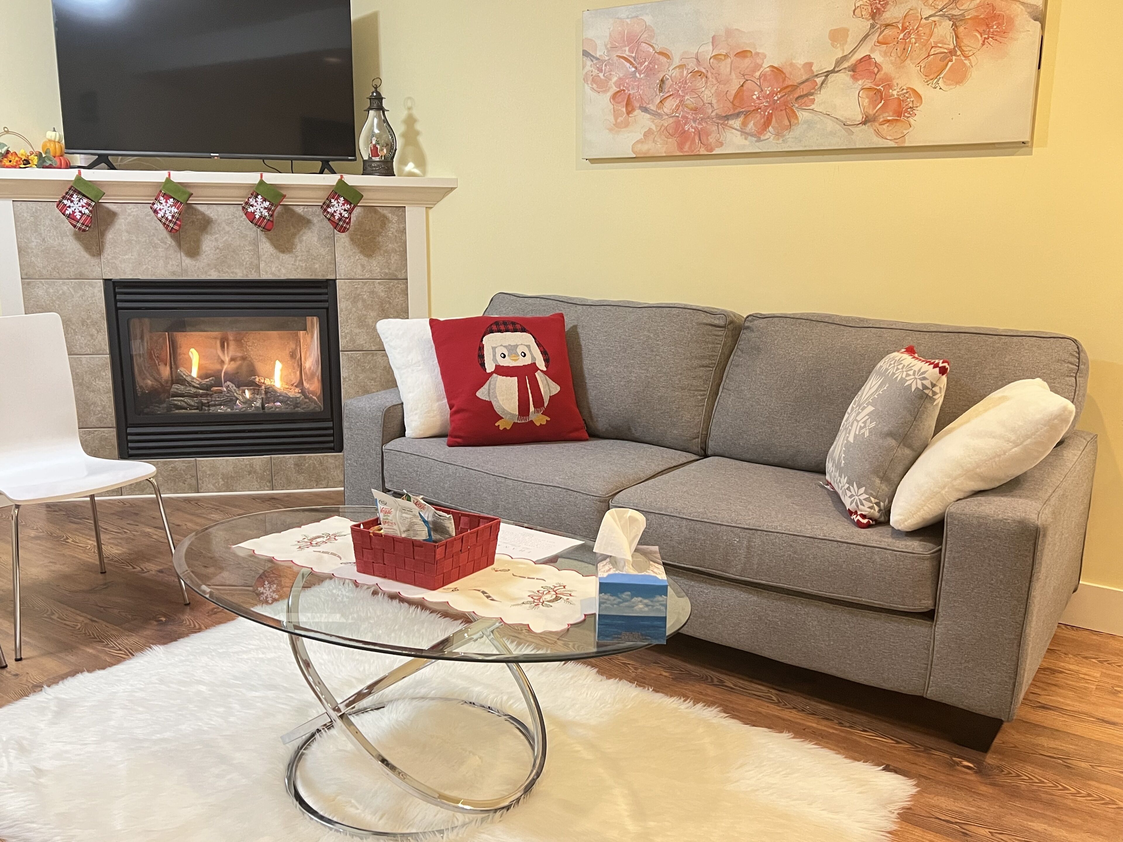 Smart TV, fireplace