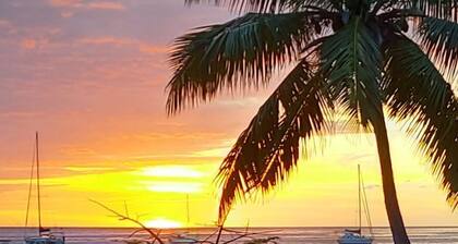 Cosy studio with Jacuzzi in the countryside overlooking La Soufrière