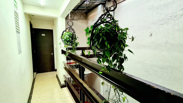 A corridor with a black door marked "WC" and a staircase with a metal railing. - HoM Balderas - Hostel (Mexico City)
