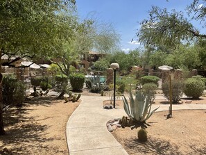 Property grounds - Luxury condo in Scottsdale**** contact owner for specials!! (Scottsdale)