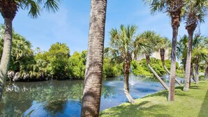 A serene riverside view with palm trees and lush greenery. - First Floor • Walk to Beach • Sleeps 6 (Panama City Beach)