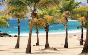 A beach with palm trees and a clear view of the ocean. - 2B/2b Experience a perfect getaway in an amazing modern Mediterranean  Apartment (San Juan)