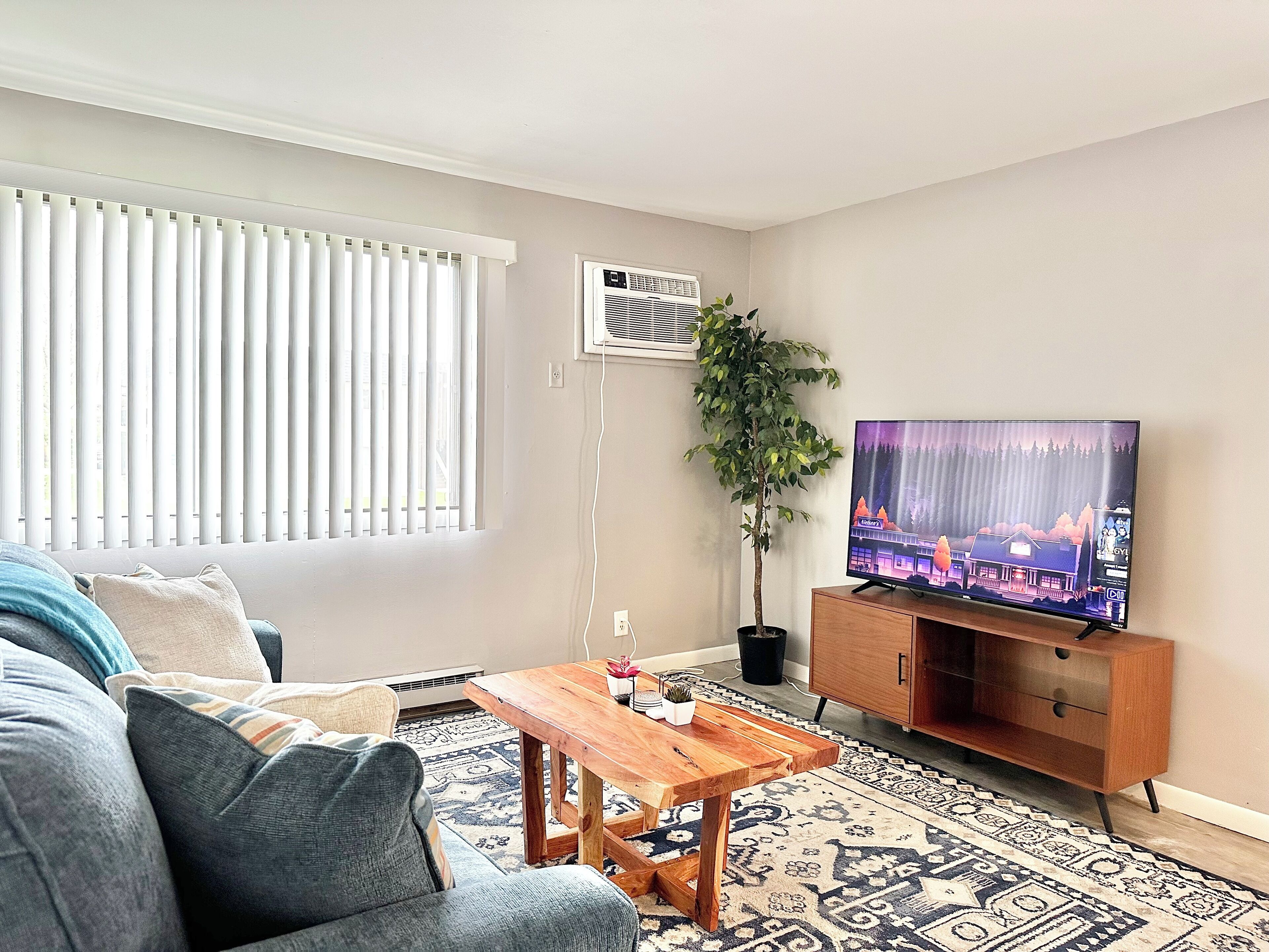 A living room with a sofa, a wooden coffee table, a TV on a wooden stand, a potted plant, and a patterned rug.