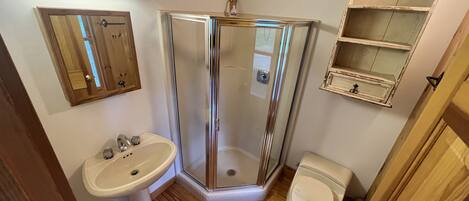A bathroom with a glass shower enclosure, a sink, and a toilet.