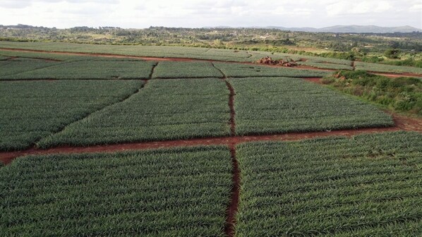 Miscellaneous - Beautiful 5 bedroom farmhouse with mountain view (Kilimambogo)