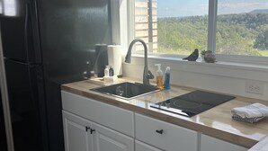 Een moderne keuken met een zwarte koelkast, witte kasten, een spoelbak en een raam met uitzicht op groen.