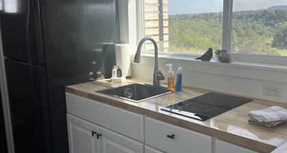 Unique Shipping Container Home with River View near Eureka Springs