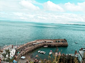 Marina - Stunning Shepherd's Hut Retreat, North Devon (Bideford)