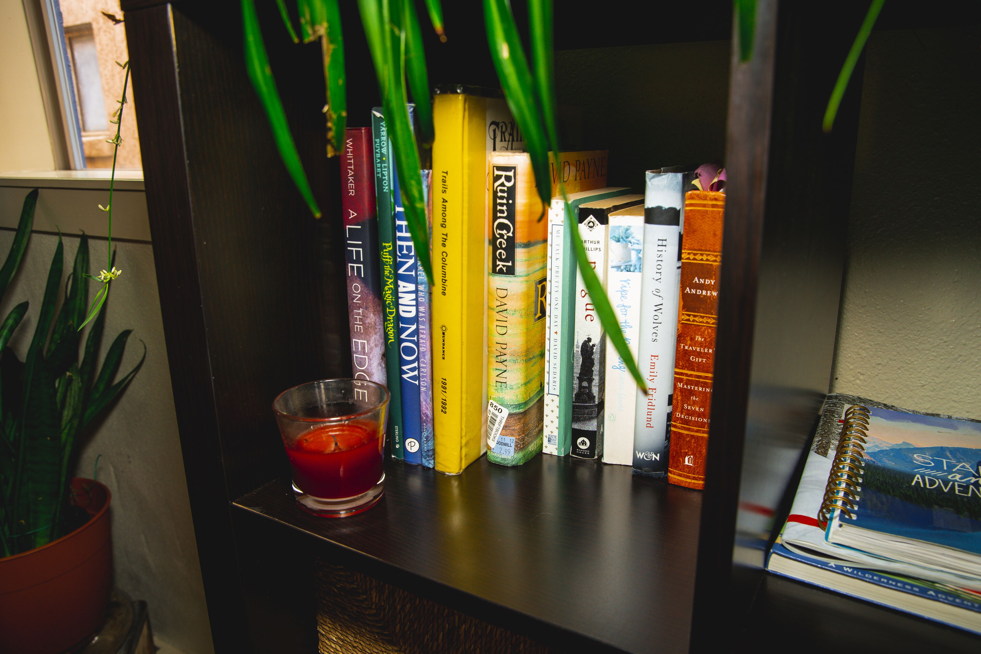 Una estantería con libros y un vaso de bebida roja.