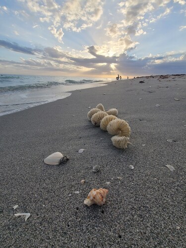 ---BEAUTIFUL TROPICAL GARDEN HEATED POOL HOME ---
/AN OPTION BOAT RENTAL