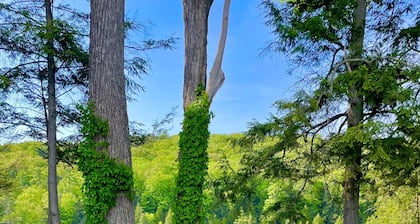 Newly renovated Studio Apartment with gorgeous Muskegon River views. Hardy Dam.