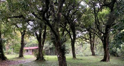 Cozy Cabin, 10 minutes from Heredia, forest around