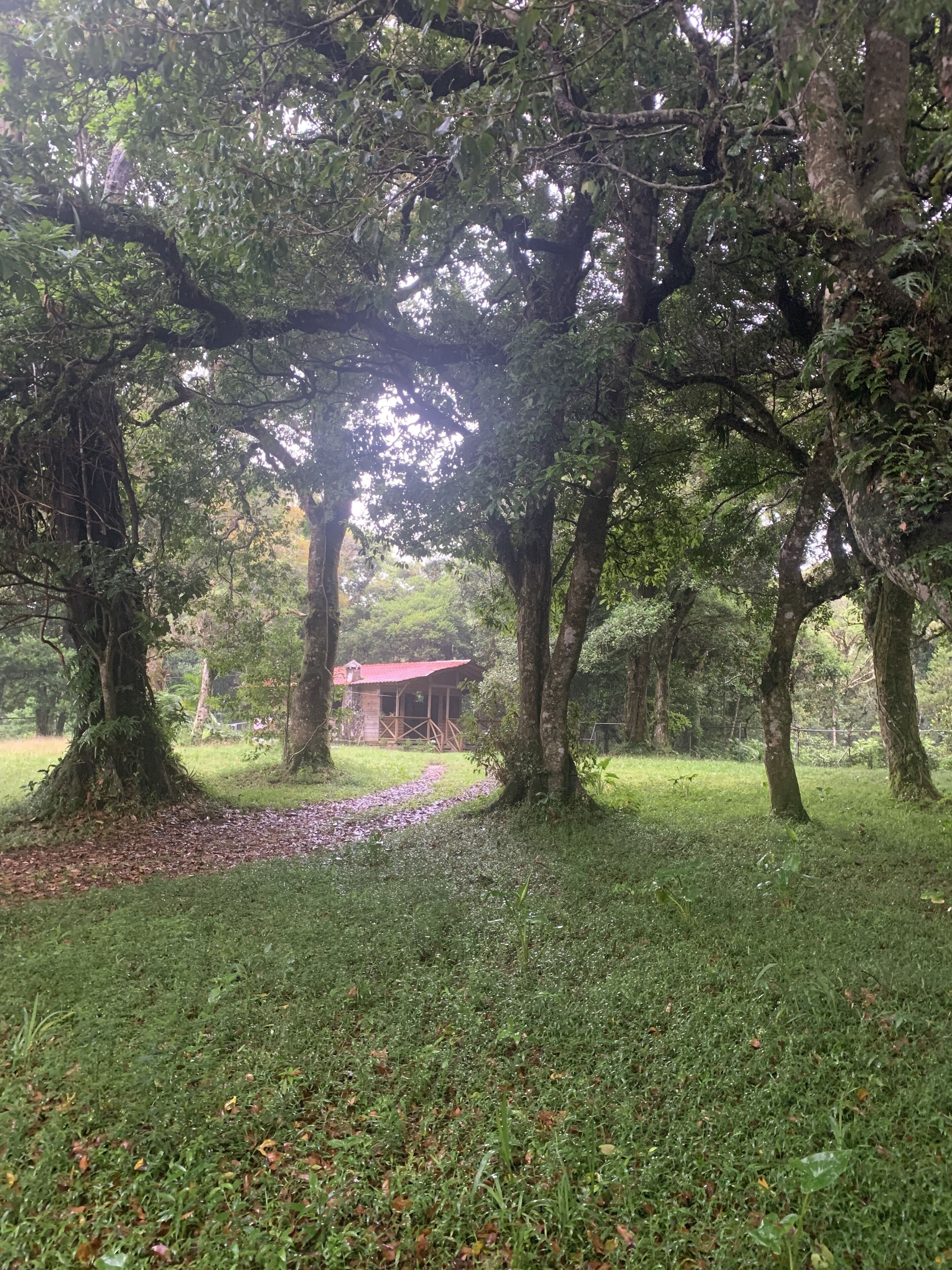 Parco della struttura