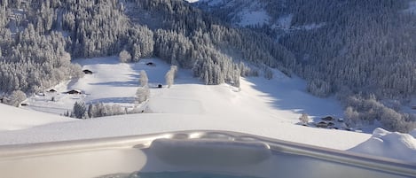 Baignoire à remous extérieure