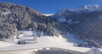 Exceptional authentic chalet with spa and sauna (a nugget away from it all, yet close to it all)