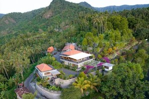 A residential area with houses surrounded by dense tropical vegetation and hills in the background. - Rostika Hotel Sekumpul (Sawan)