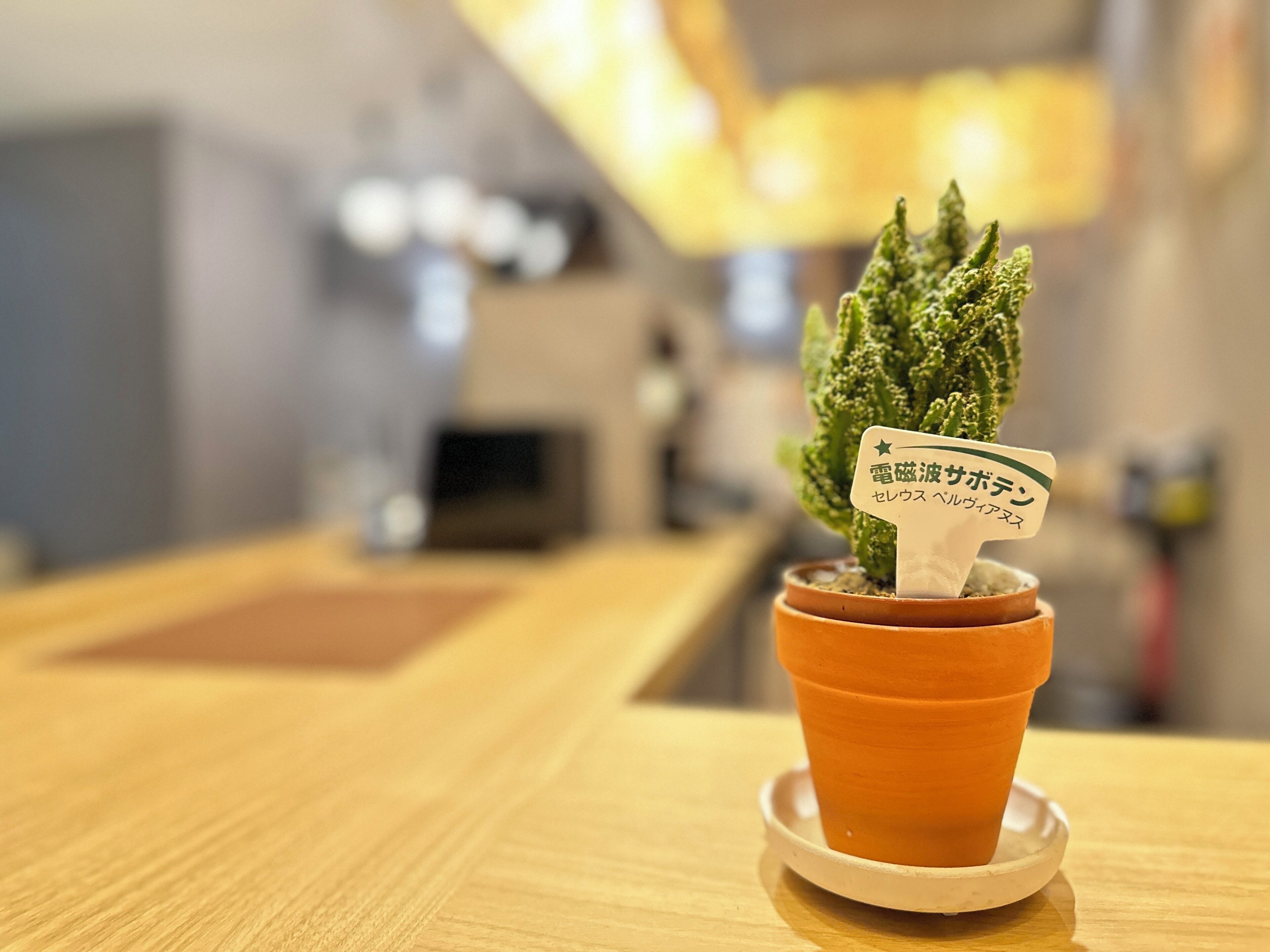 Foto - Osaka Ebisu Hotel