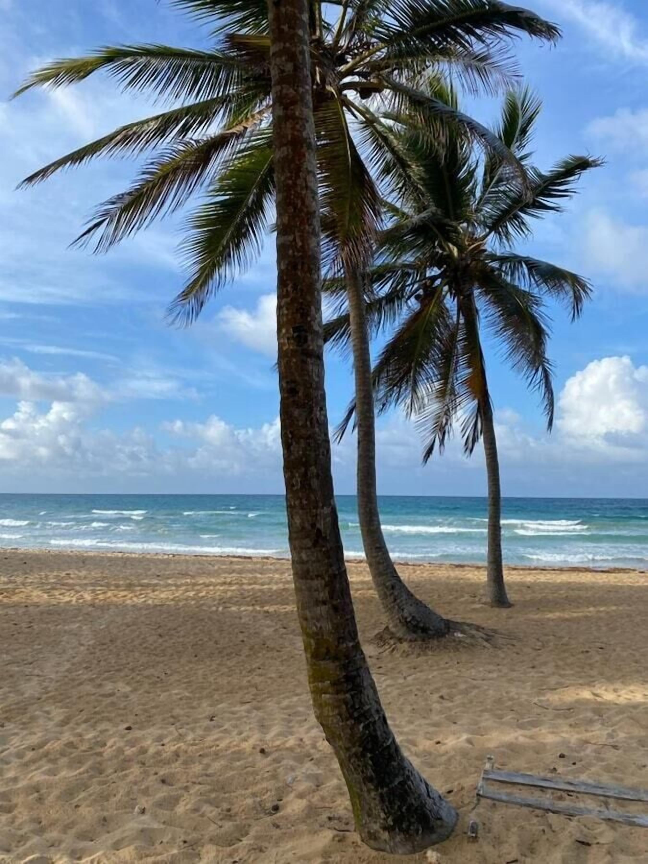 Am Strand