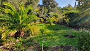 A lush garden with various plants and trees, including palm trees and flowering plants. - 3 Bedroom (Sleeps 7) Villa in Carvoeiro (Carvoeiro)