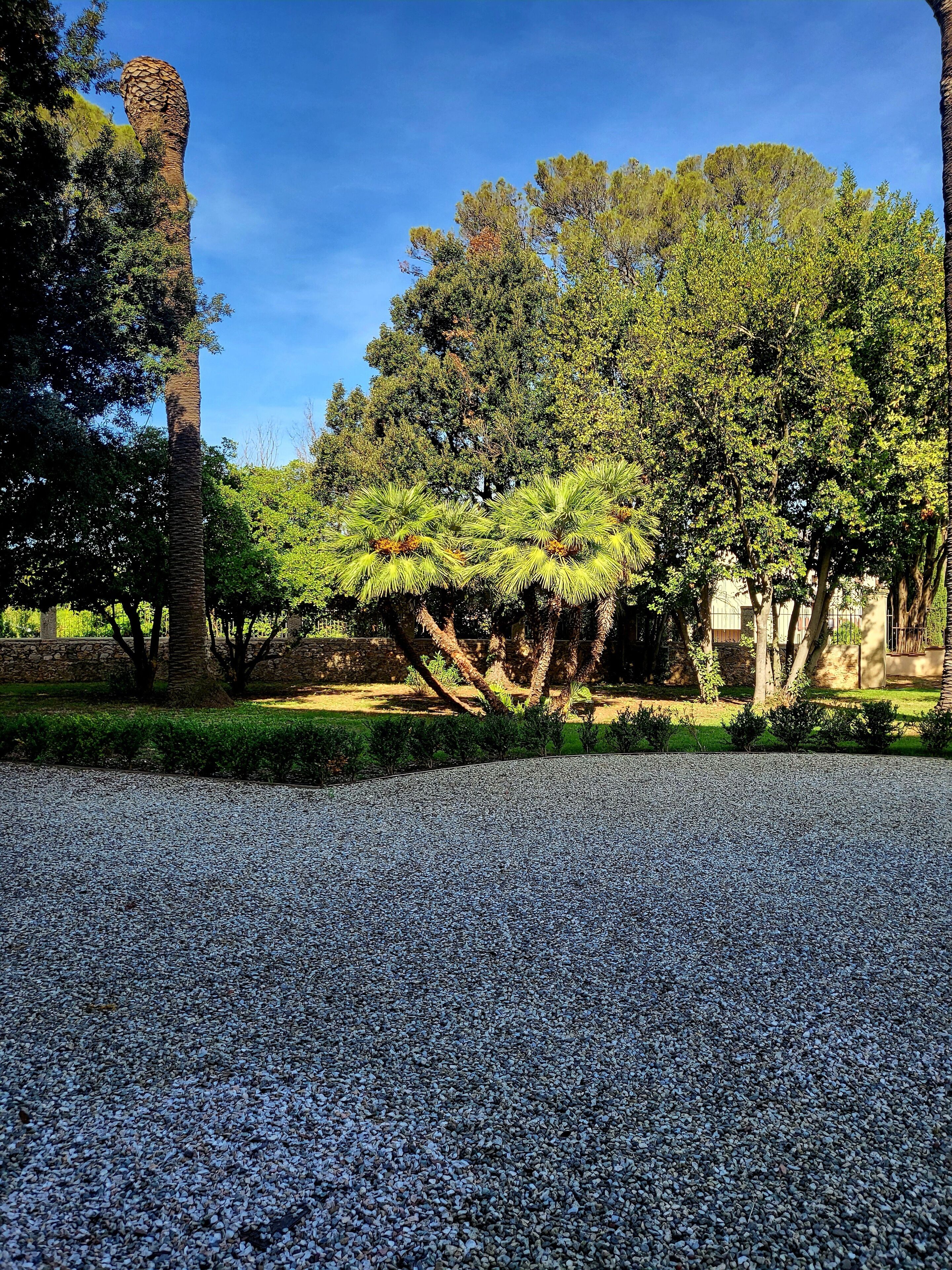 Un sentiero sterrato che conduce a un parco con alberi e una costruzione in pietra.