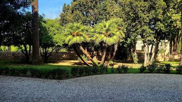 Un sentiero sterrato che conduce a un parco con alberi e una costruzione in pietra.
